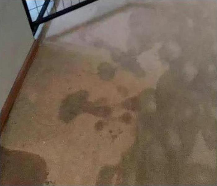 water soaked carpeting in a house