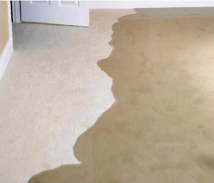 Carpet Flooded Near Door